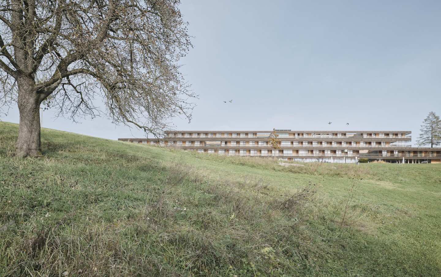 A new Healthcare Facility