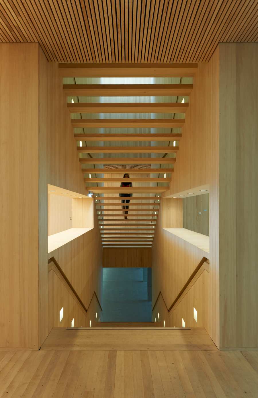 Extension of an Agricultural College