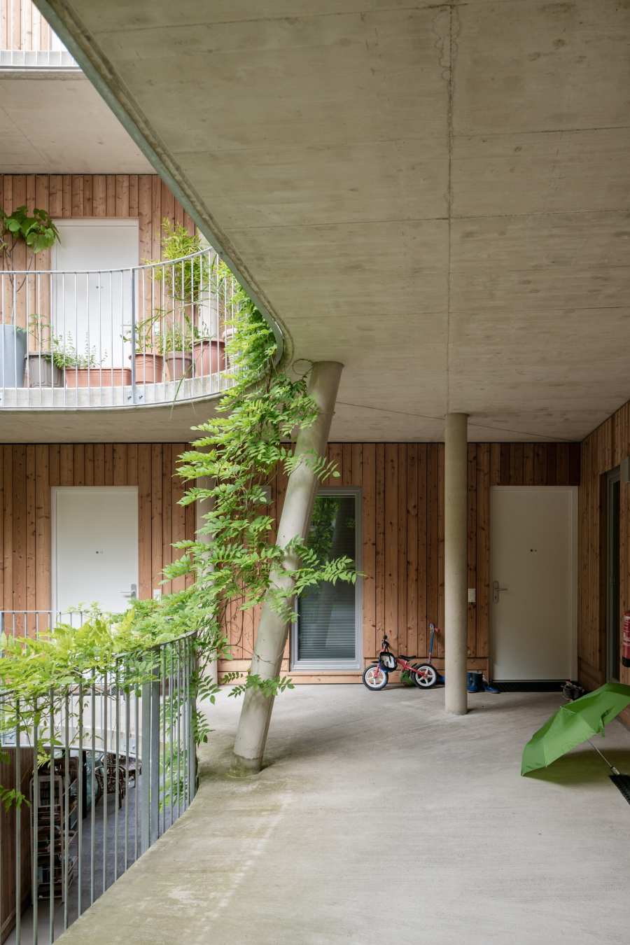 Social Housing in Timber