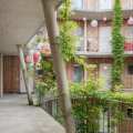 Social Housing in Timber
