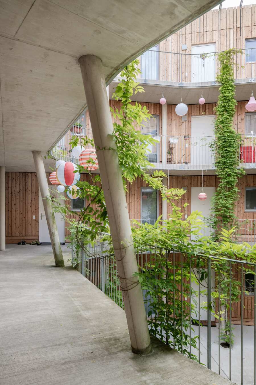 Social Housing in Timber