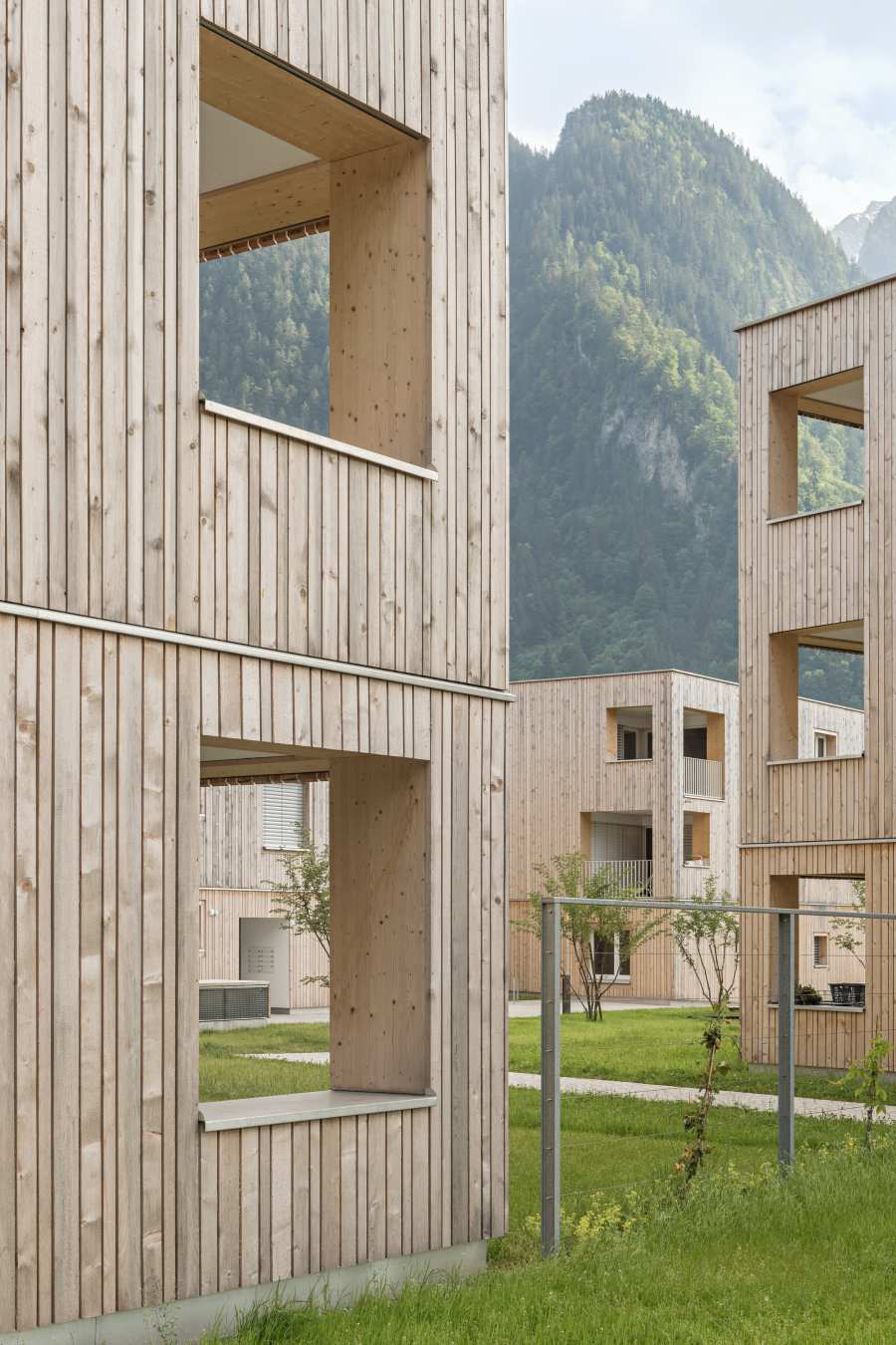 Timber Hybrid