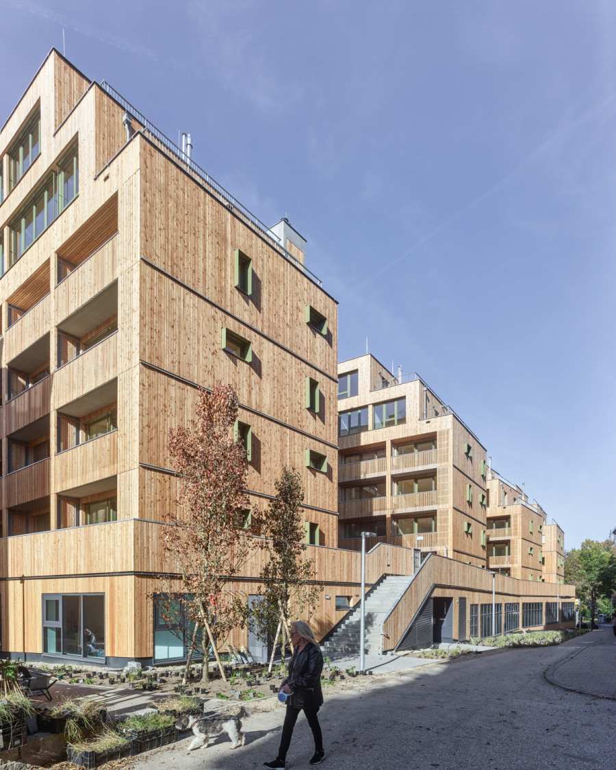 Urban Densification in Wood