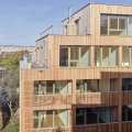 Urban Densification in Wood